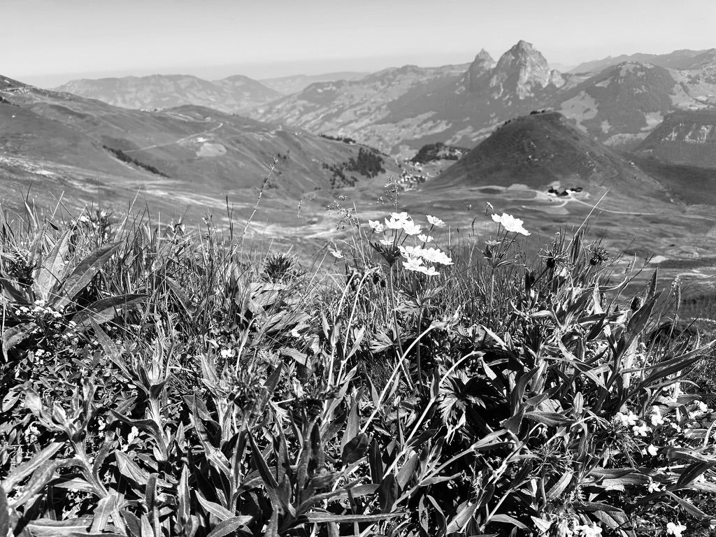 green laboratorium swiss country side