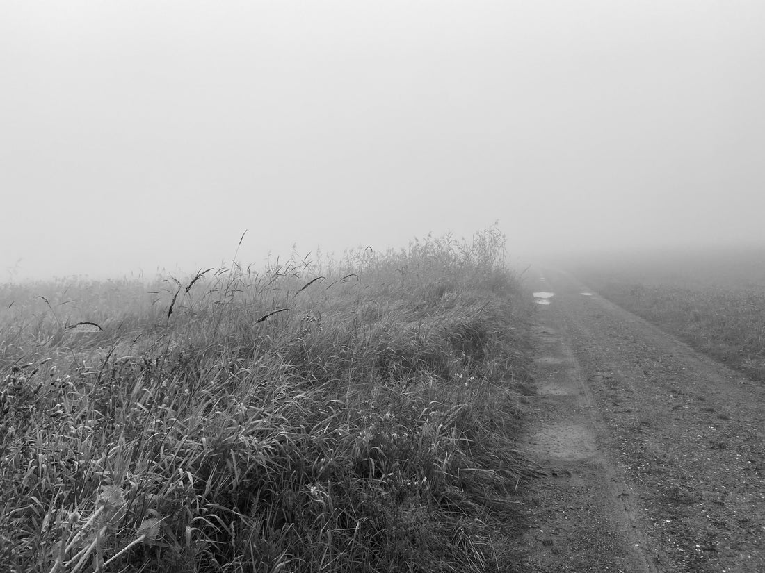 green laboratorium path