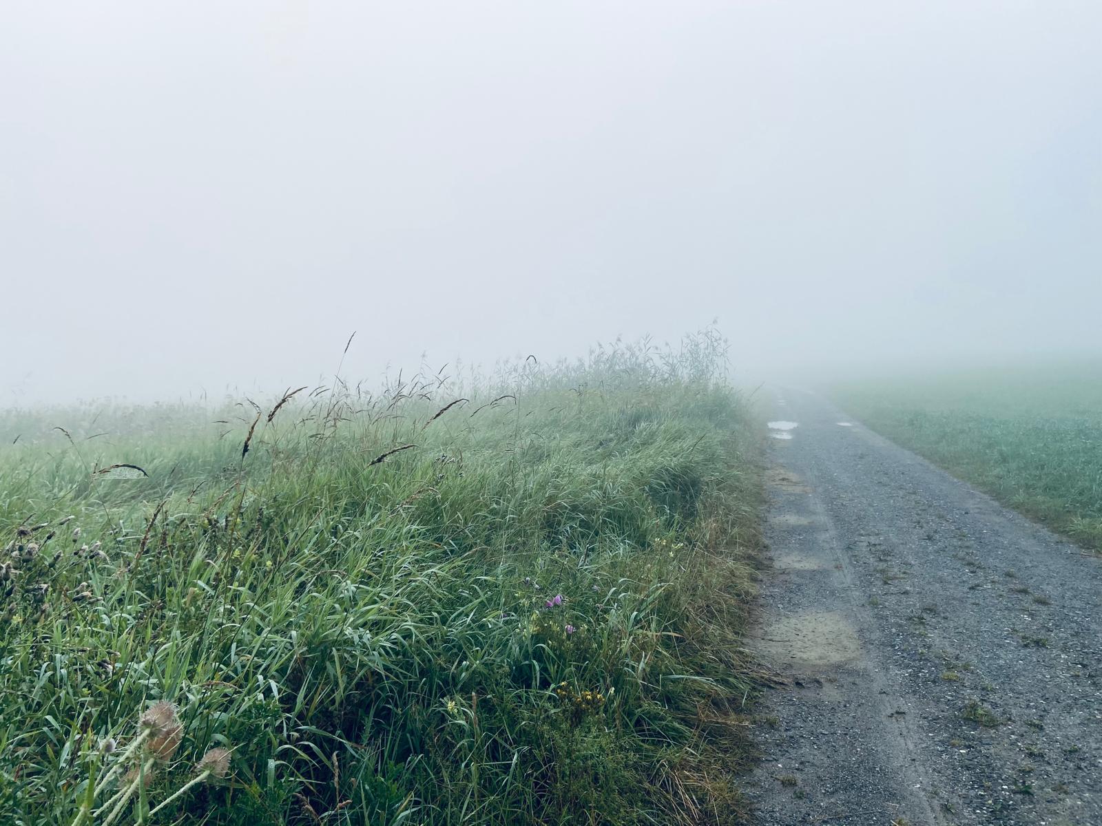 softening the storm field